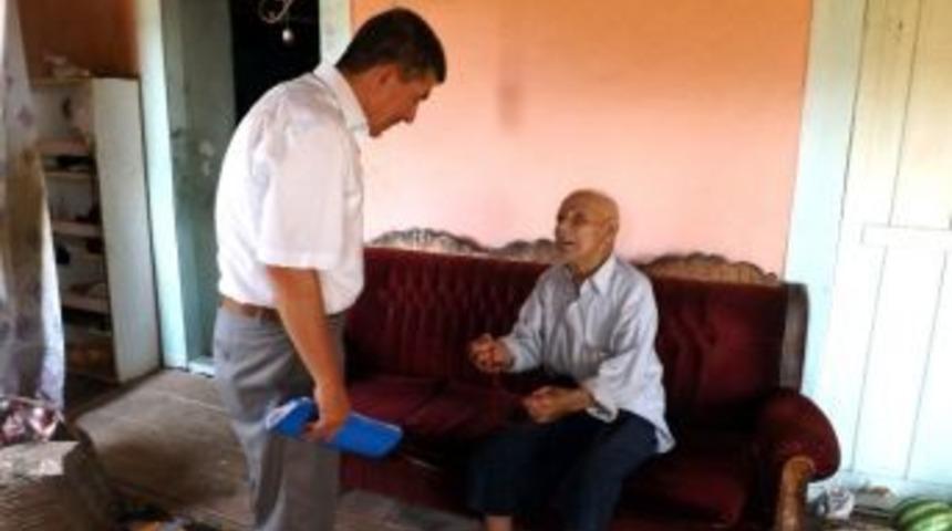 Aydın Valiliği Asırlık &Ccedil;ınarlara Sahip &Ccedil;ıkıyor