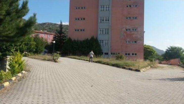 Gölpazarı Açık Cezaevi İnşaatı Çalışmaları Sürüyor G1