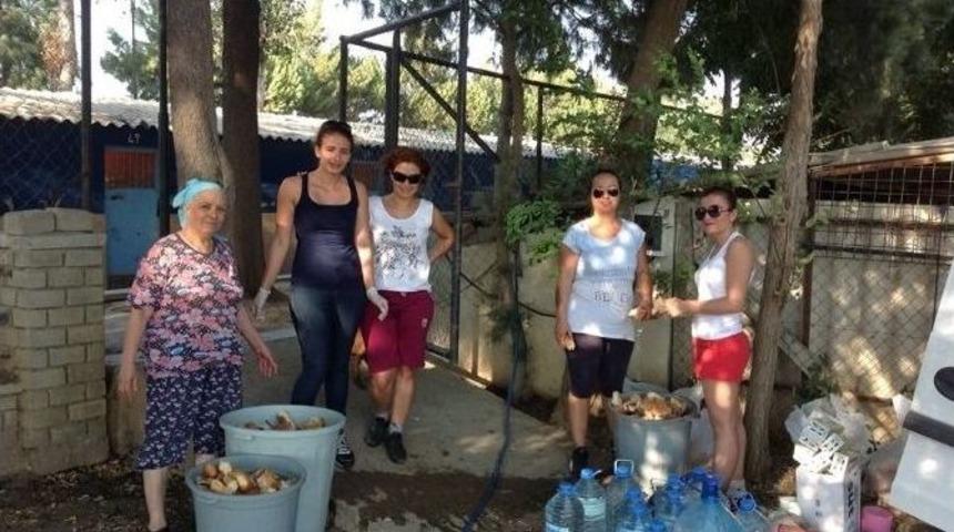 &Ccedil;ivril&rsquo;de Hayvanseverlerden &Ouml;rnek Davranış