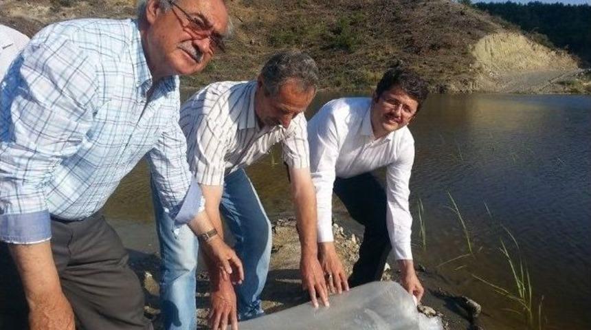 G&ouml;letlere 25 Bin Yavru Balık Bırakıldı