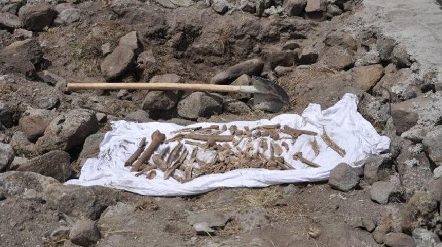 T&uuml;rkiye&rsquo;de İlk Defa Bir Mahkeme, Dersim 1938&rsquo;le İlgili Etkin Soruşturma İstedi