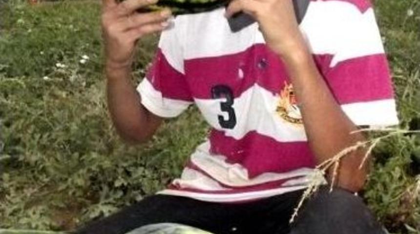 Gevaş Karpuzu Ve Kavunu Piyasaya &Ccedil;ıktı