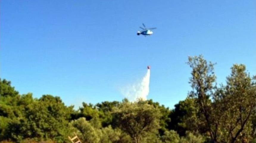 Ayvalık&rsquo;ta Orman Yangını