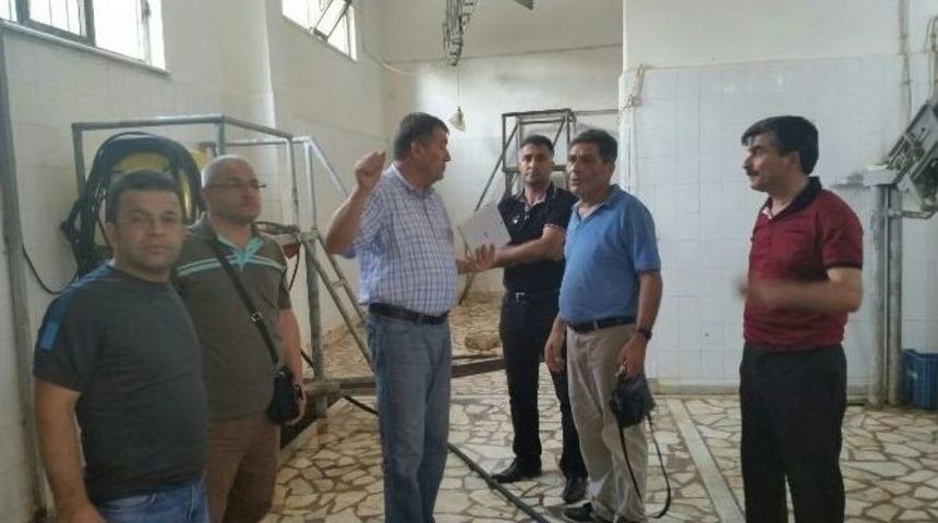 B&uuml;y&uuml;kşehir Belediyesi Kurban Bayramı &Ouml;nlemlerini Almaya Başladı