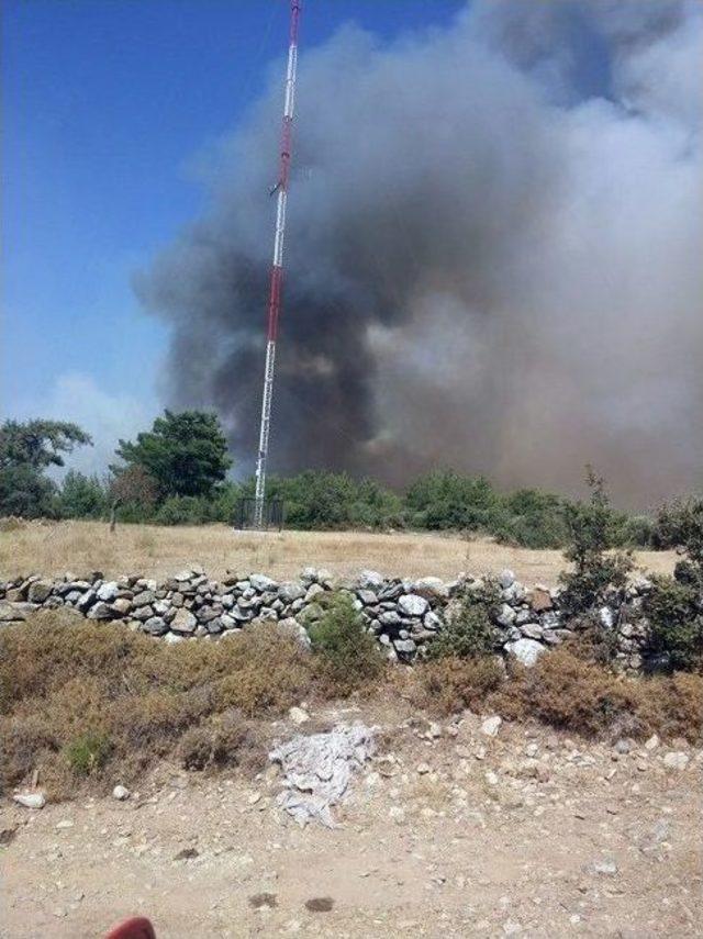 Muğla’da Orman Yangını