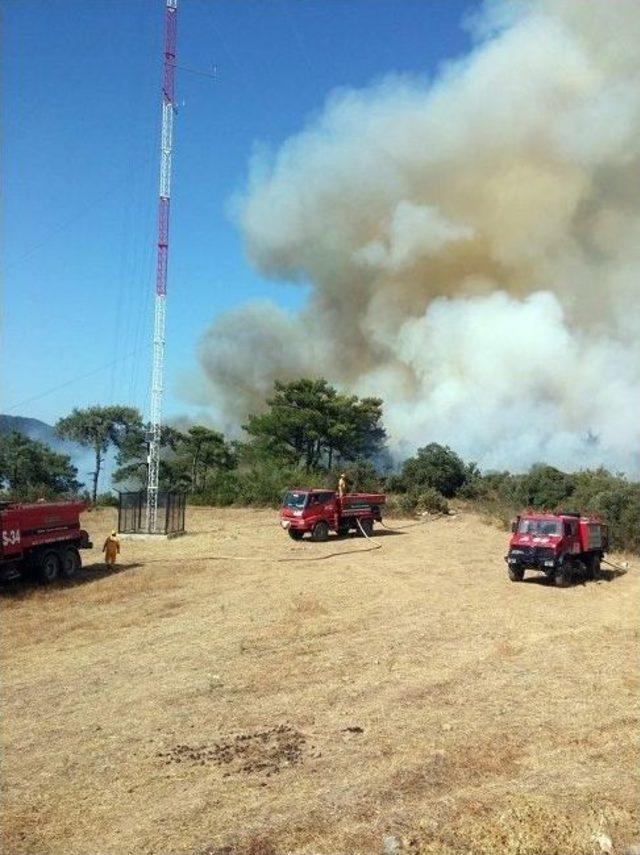 Muğla’da Orman Yangını