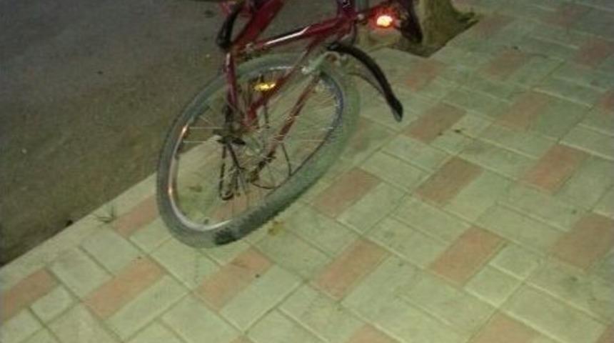 Sahipsiz K&ouml;pek Babasına Yemek G&ouml;t&uuml;ren Gence Saldırdı