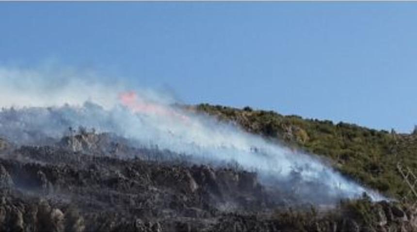 Bucak&rsquo;ta İki Ayrı Orman Yangınında 30 D&ouml;n&uuml;ml&uuml;k Alan Yandı