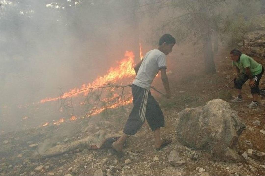 Adıyaman&rsquo;da Orman Yangını