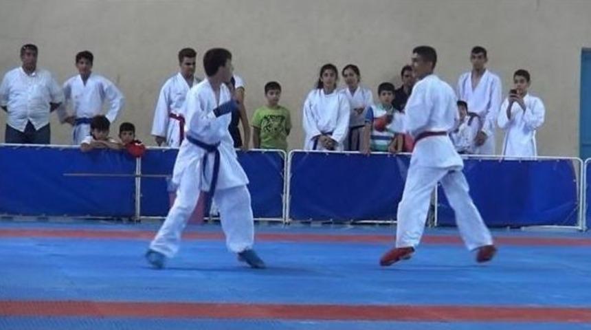 Doğu Ve G&uuml;neydoğu İlleri Karate Turnuvası&rsquo;nın İkincisi Batman&rsquo;da Yapıldı