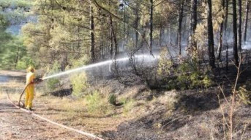 Karab&uuml;k&rsquo;te Orman Yangını