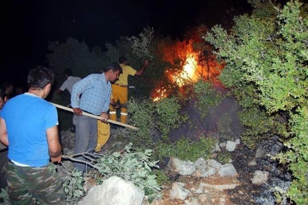 Adıyaman&rsquo;ın Ciğerleri Yandı