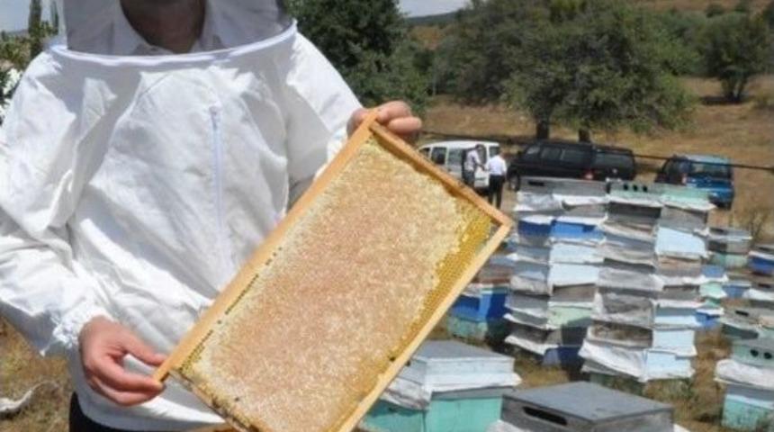 Ordu&rsquo;da Arıcılara Destek Yağmuru