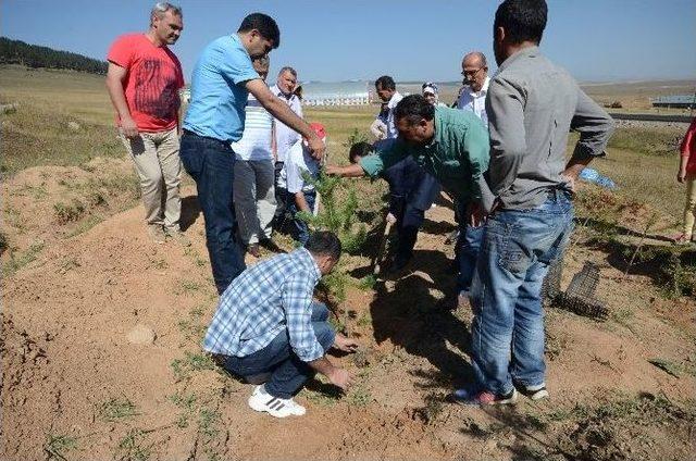 Sarıkamışlılar Şehit Dedeleri İ&ccedil;in Fidan Dikti 1