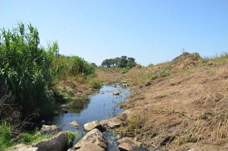 Dikili’de Dere Yataklarında Temizlik Seferberliği G4