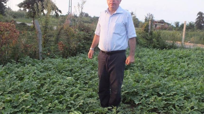 Pazar Ziraat Ve Doğa Bilimleri Fak&uuml;ltesinde Organik Tarım