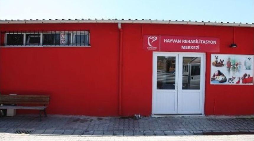 G&uuml;ng&ouml;ren Hayvan Rehabilitasyon Merkezi Yenilendi