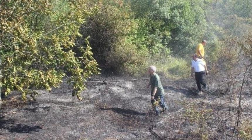 Yalova&rsquo;da Korkutan Yangın