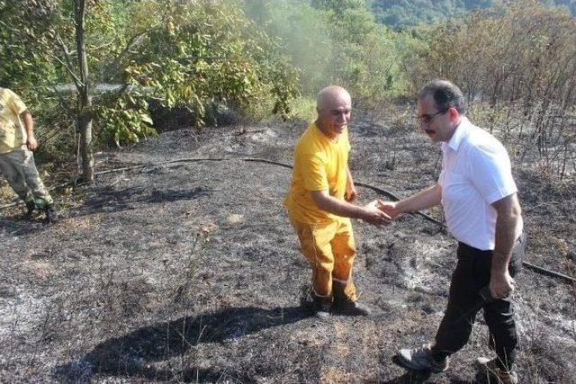 Yalova’da Korkutan Yangın