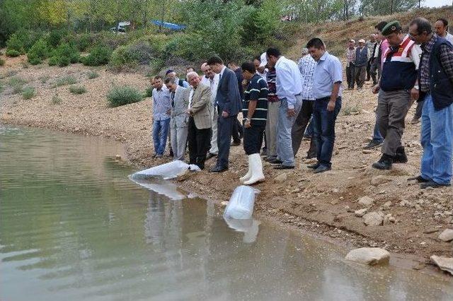 Ender Muhammed Gümüş: Kütahya’daki Baraj Ve Göletler Yavru Balığa Doydu