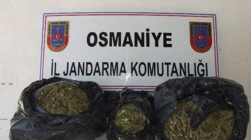 Osmaniye&rsquo;de Esrar Operasyonu