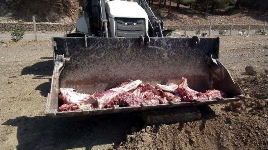 Gaziantep&rsquo;te 130 Kilo Sağlıksız Et İmha Edildi