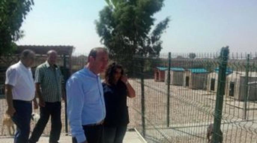 Başkan &Ouml;zt&uuml;rk Hayvan Barınağını Gezdi