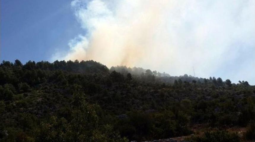 Antalya&rsquo;da Orman Yangınları