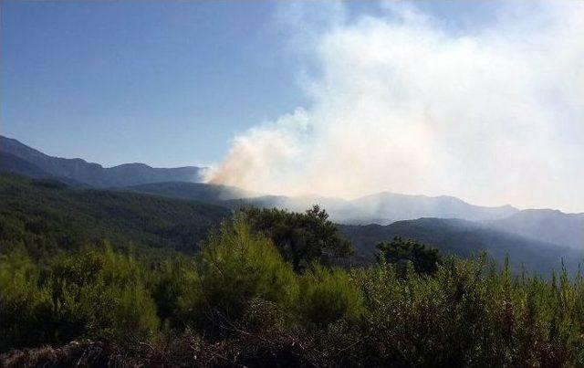 Antalya’da Orman Yangınları