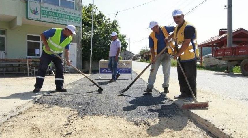 Gebze K&ouml;ylerinde Hummalı &Ccedil;alışma