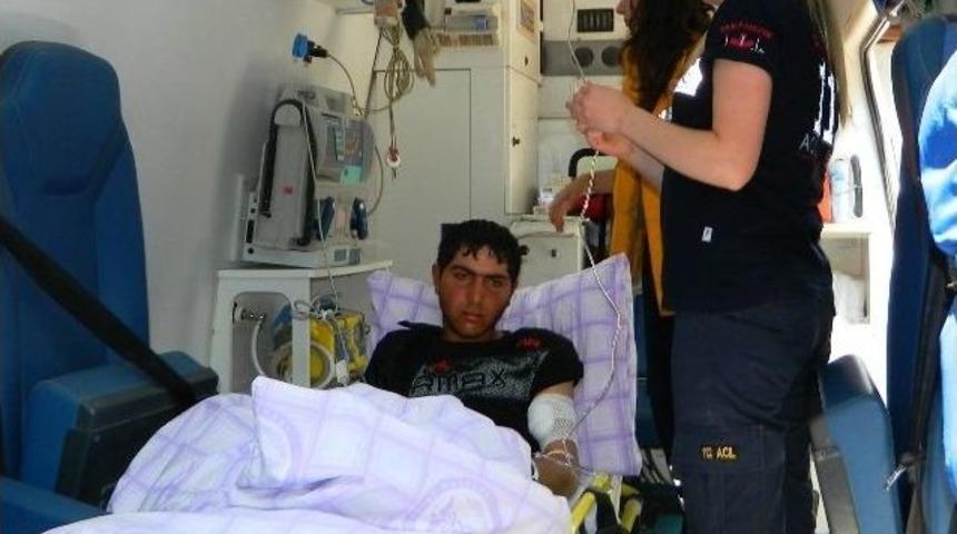 (&ouml;zel Haber) Posof&rsquo;ta Ayı Saldırısı: 1 Yaralı