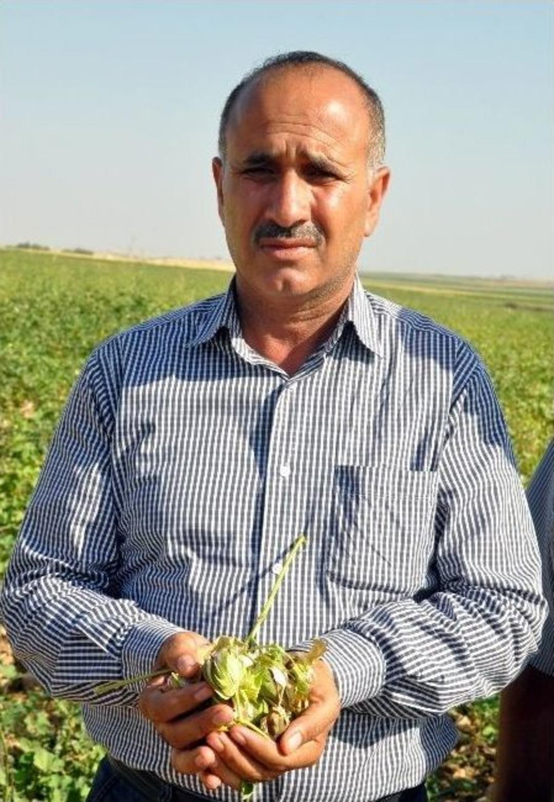 (&ouml;zel Haber) Ak&ccedil;akaleli &Ccedil;ift&ccedil;iler, Elektrik Kesintilerinden Şikayet&ccedil;i