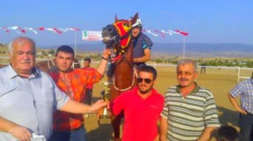 Osmancık Taşk&ouml;pr&uuml; At Yarışlarında Şampiyon