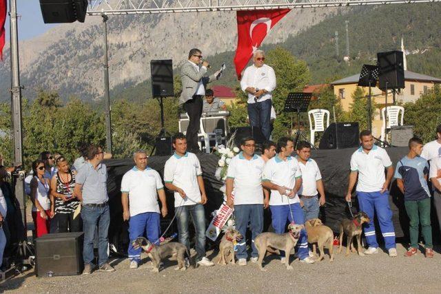 Adana'da Sokak Hayvanları Ve Doğal Yaşam Festivali