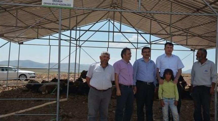 Başovacık K&ouml;y&uuml;&rsquo;nde Mera Islah Uygulama Ve K&ouml;y Ormanı Projesi