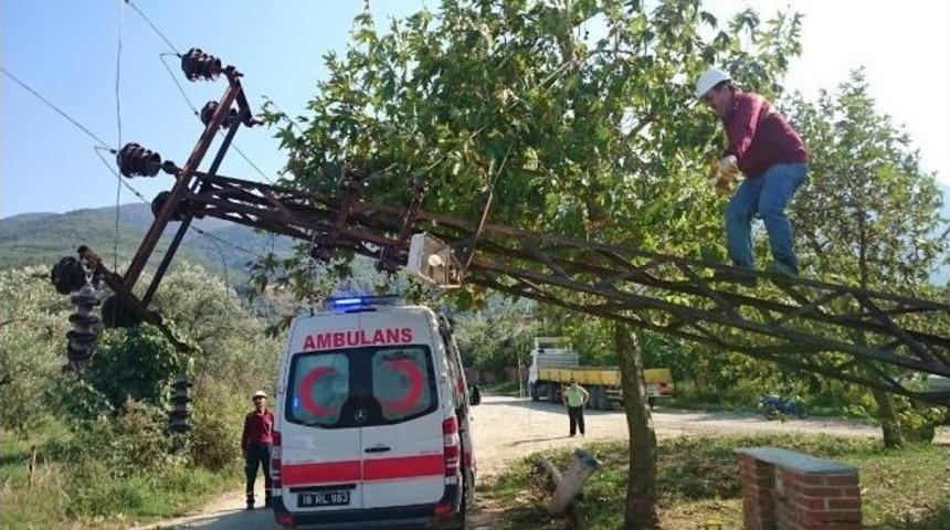 Faciadan Kıl Payı Kurtuldular