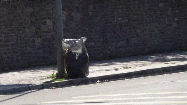 Çevik Kuvvet Girişinde Unutulan Çöp Poşeti Polisi Harekete Geçirdi