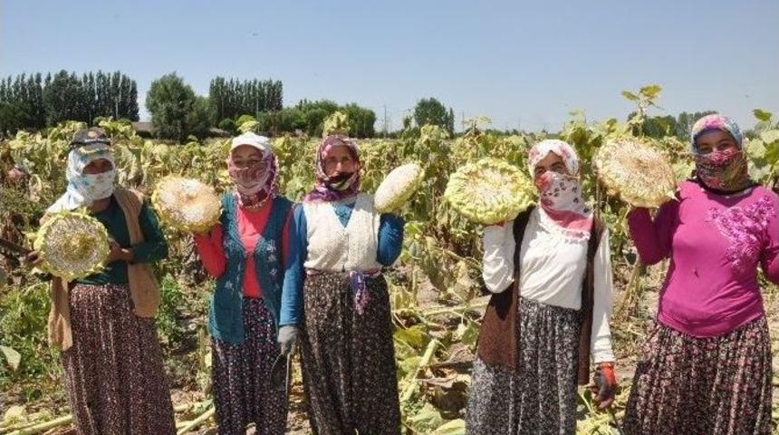 Bulut: &ldquo;fıstık Ve Fındıktaki Fiyat Artışı Ay&ccedil;i&ccedil;eğine De Bekliyoruz&rdquo;