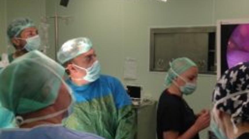 Kunduracı Ve G&uuml;vercin G&ouml;ğs&uuml; Hastaları Sağlıklarına Kavuştu