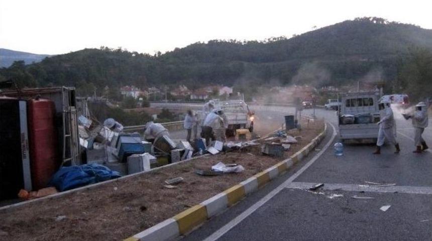 Arı Kamyoneti Devrildi: Zarar 30 Bin Tl