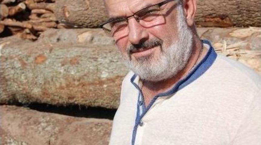 Yaşlı Ağa&ccedil;lar Ormanları &Ccedil;&uuml;r&uuml;t&uuml;yor