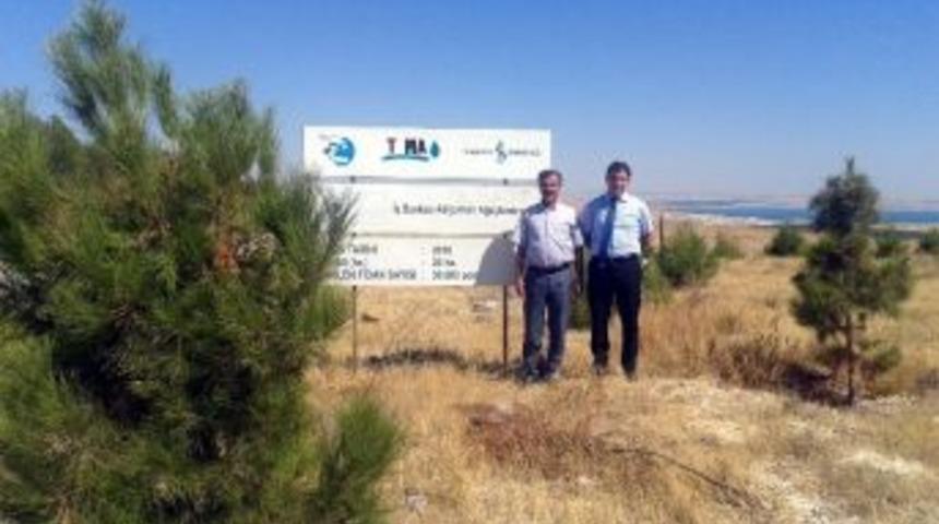 &lsquo;81 İlde 81 Orman Projesi&rsquo; Adıyaman&rsquo;da Amacına Ulaşıyor