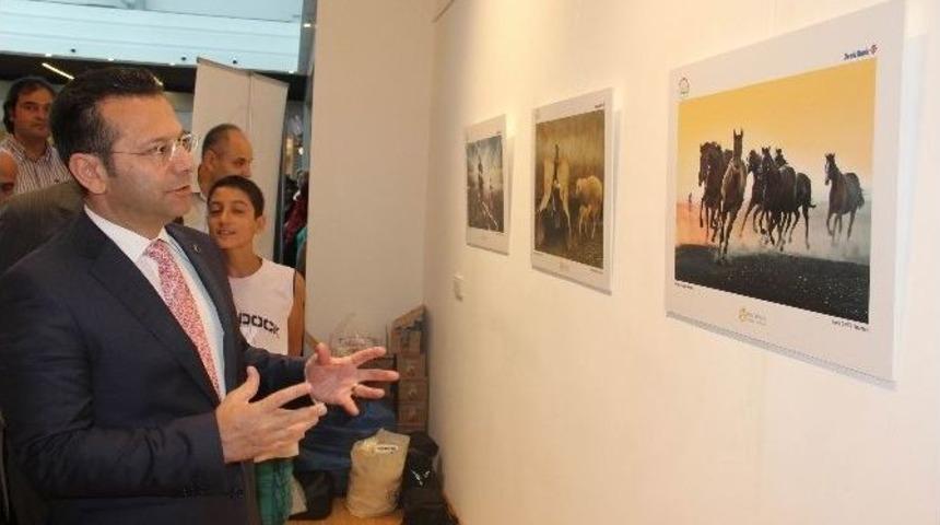 &lsquo;tarım Ve İnsan&rsquo; Konulu Fotoğraf Sergisi A&ccedil;ıldı