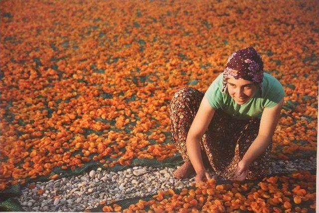 ‘tarım Ve İnsan’ Konulu Fotoğraf Sergisi Açıldı