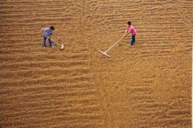 ‘tarım Ve İnsan’ Konulu Fotoğraf Sergisi Açıldı