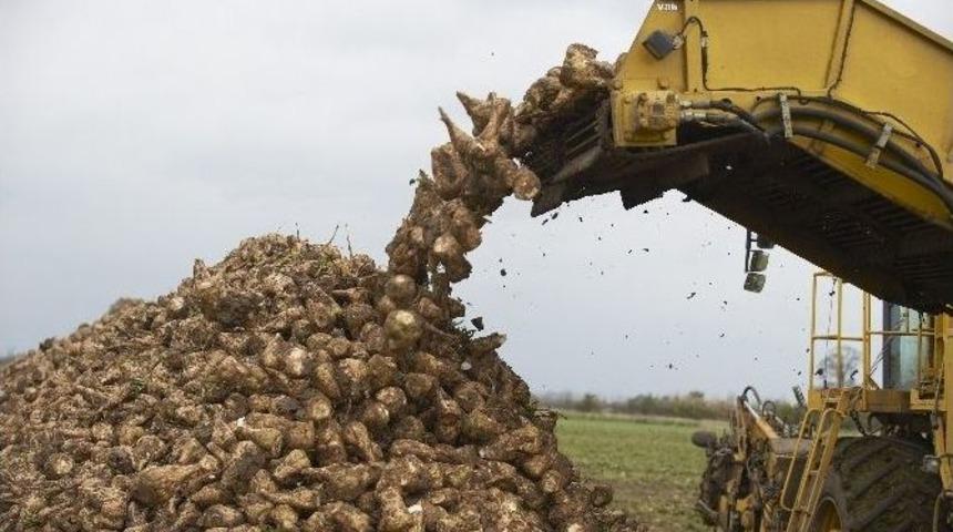 Şeker Fabrikası, Yeni Sezona Hazır