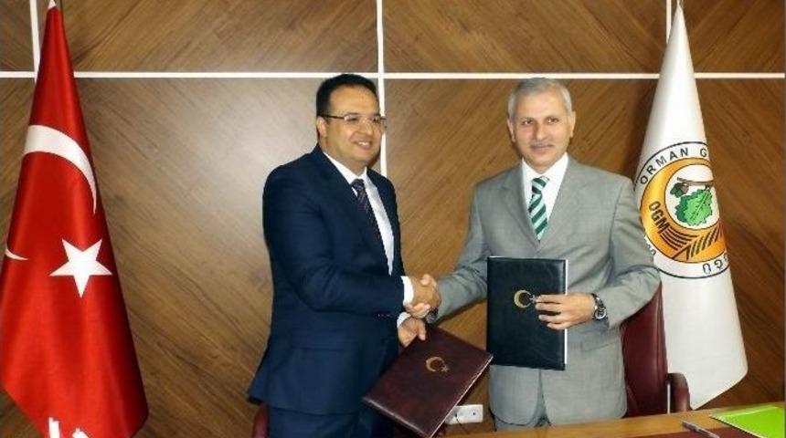 Bursagaz&rsquo;dan 4 Bin Fidan