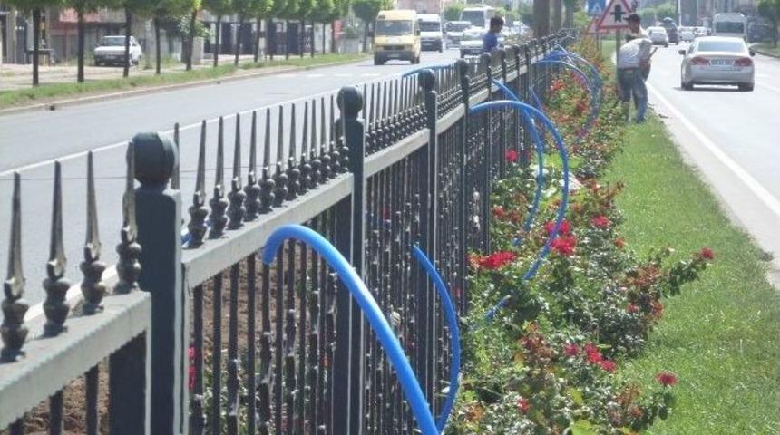 Ordu&rsquo;da Ref&uuml;jlere Sulama Sistemi Kuruldu