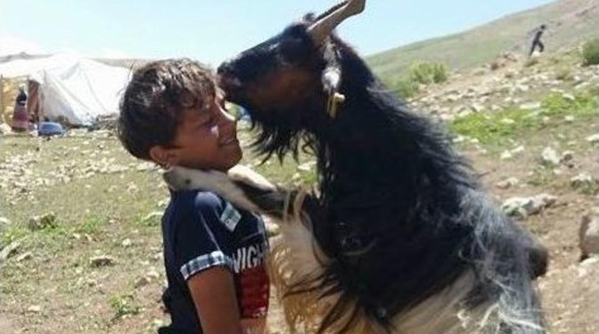 Teke&rsquo;nin Sevgisi B&uuml;y&uuml;ledi