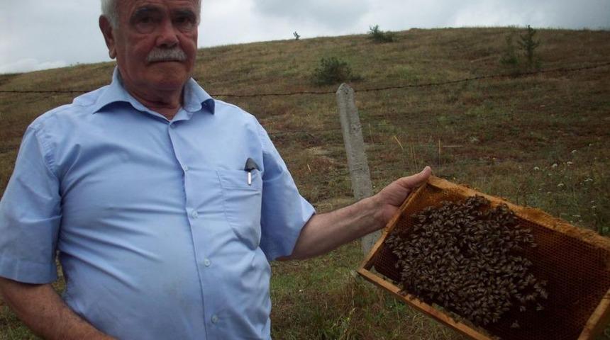 Kavak'ta Bal Hasadı Tamamlandı